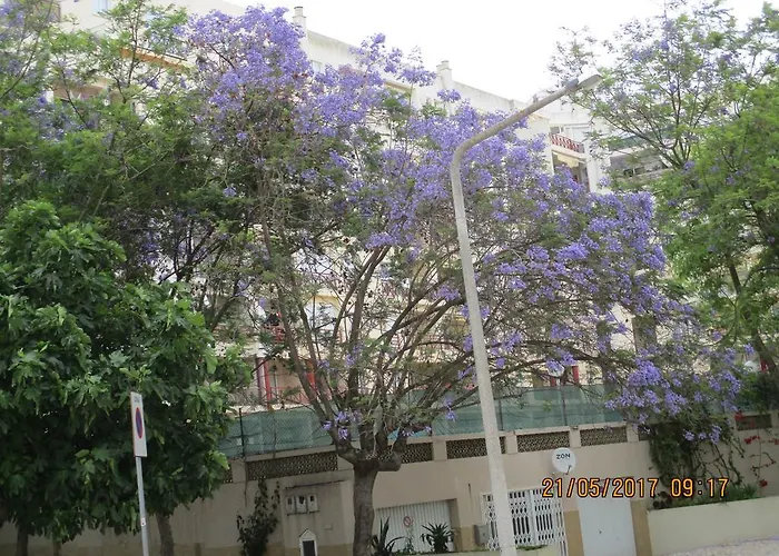 Edificio Canoa